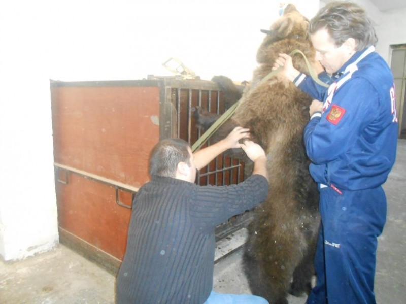Я ужасно по вам соскучилась!!!!!!!!))))