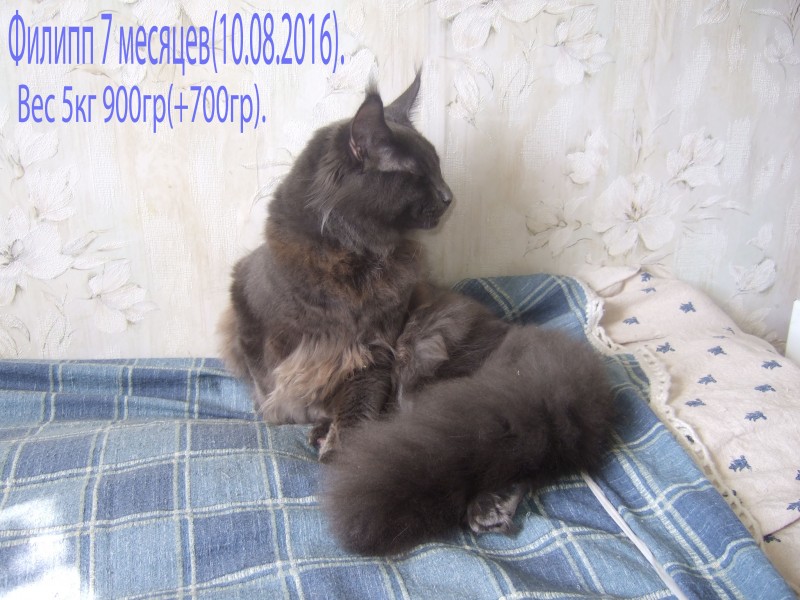 Мой подарок постоянно растёт, а я радуюсь!