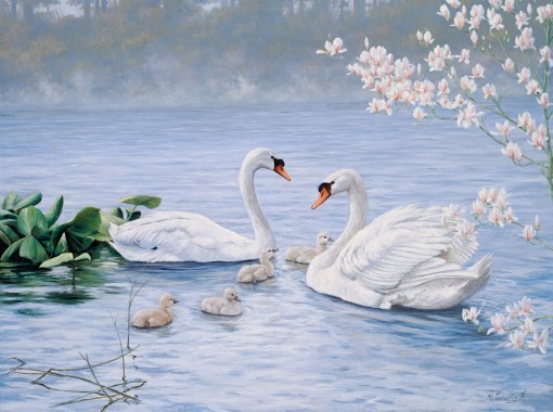 ЖИЗНЬ СРЕДИ ПРЕКРАСНОГО. ХУДОЖНИК PETER MOTZ