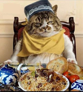 снова я с юмором
