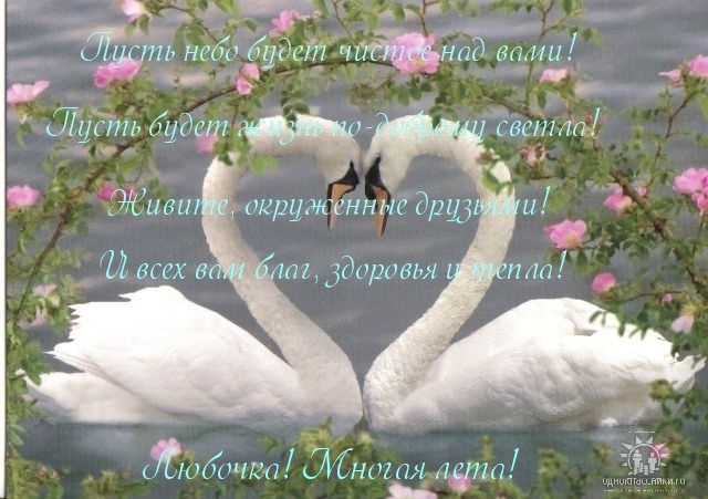 ЛЮБАША! С ДНЕМ БРАКОСОЧЕТАНИЯ!