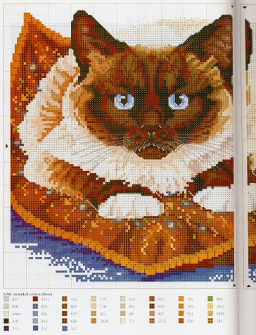 Коты со всего мира