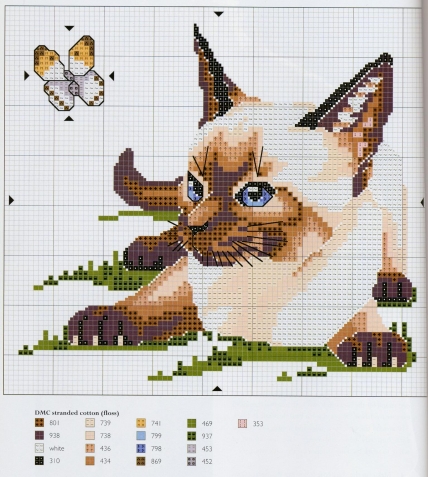 Коты со всего мира