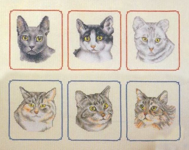 Котоматрица (часть 1)