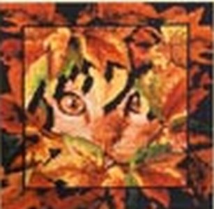 Котоматрица (часть 1)