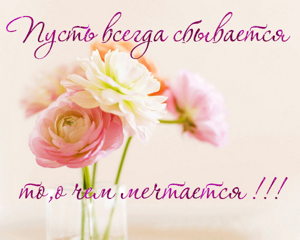 А давайте поздравим Беллочку!
