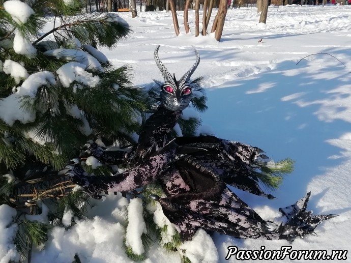Ночная звездочка.