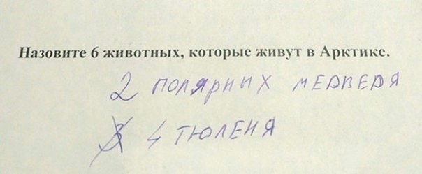 Когда учишься в младших классах, но уже познал жизнь.