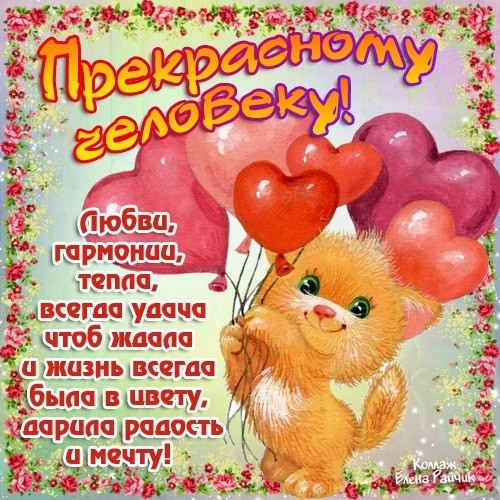 День Рождение у Primavera! Поздравляем!