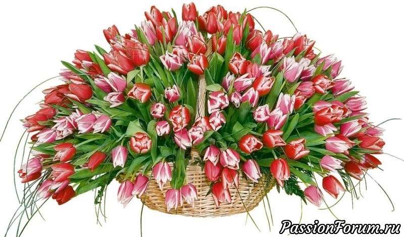 Мне праздники продлили чудо-девы.