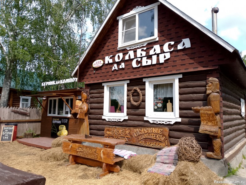 Как хомяки ходили за грибами, которые с глазами