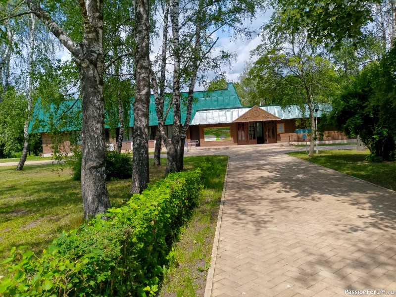 Как хомяки ходили за грибами, которые с глазами