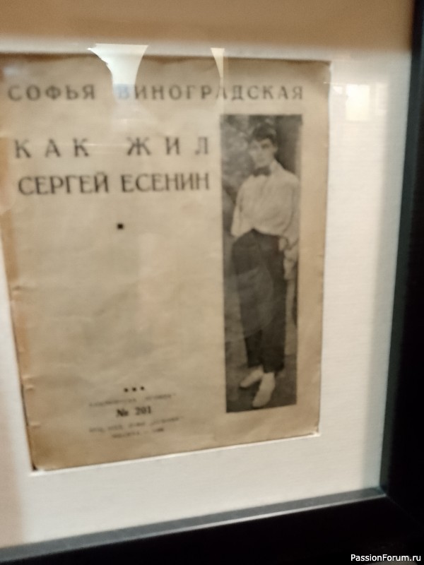Как хомяки ходили за грибами, которые с глазами