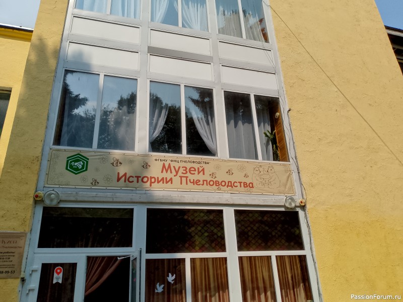 Как хомяки ходили за грибами, которые с глазами
