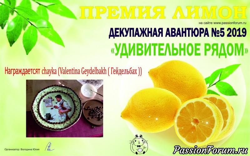 ОБЩИЙ ИТОГ ДЕКУПАЖНОЙ АВАНТЮРЫ №5 УДИВИТЕЛЬНОЕ РЯДОМ