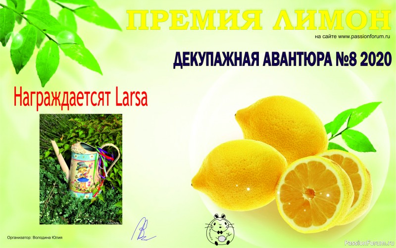 ДЕКУПАЖНАЯ АВАНТЮРА, ПОДВЕДЕНИЕ ИТОГОВ!