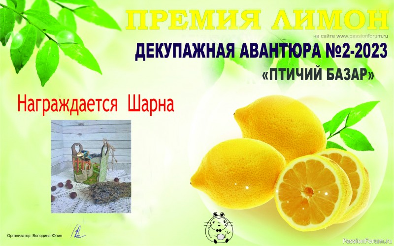 ДЕКУПАЖНАЯ АВАНТЮРА №2 2023. Тема &quot;Птичий базар&quot;. ИТОГИ!