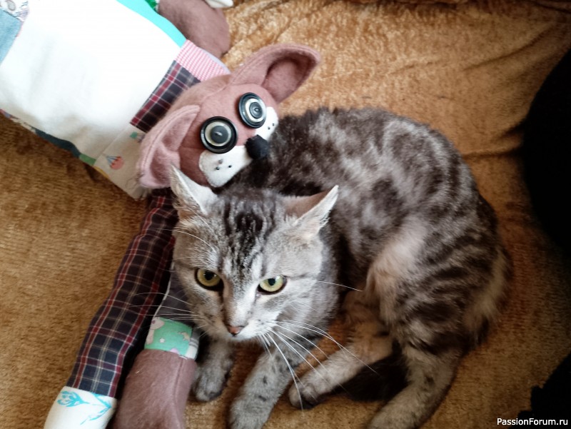 Котоподушка)) или как я поскребла по сусекам
