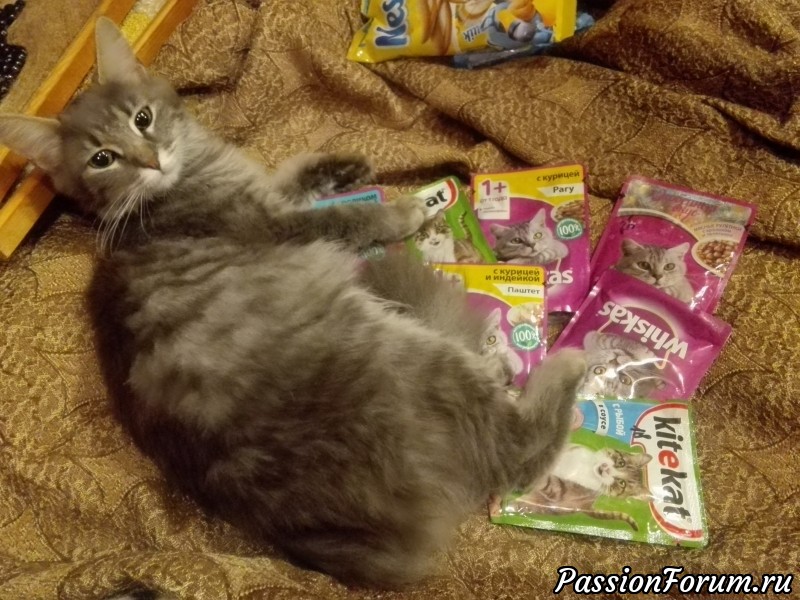 Кошки, кошатуси, кошкамуси...МЕНЯЛКИ.