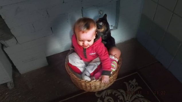Про внучку, для поднятия настроения...;)))