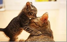 Давайте быть терпимей и добрее... Или тема для размышления
