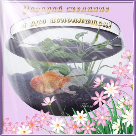 День рождения Феи .
