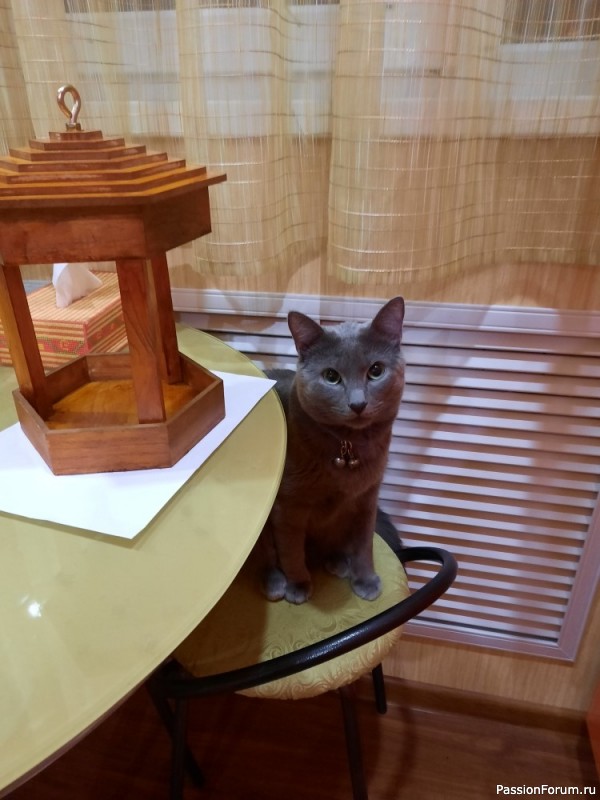 Кормушка для птиц