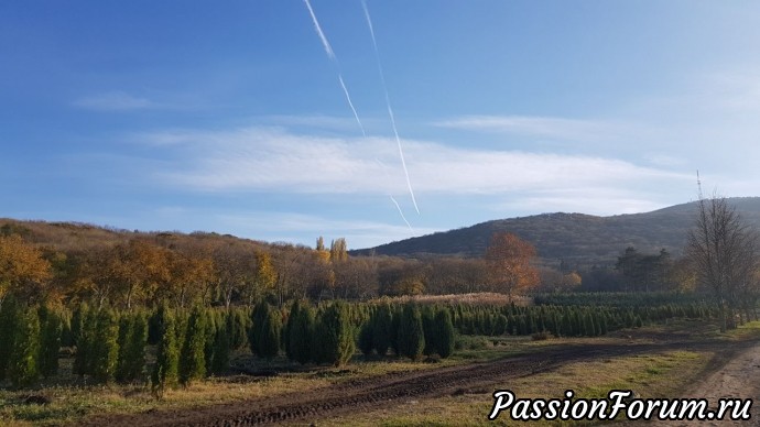 Прогулки на природе. часть 3 - Перкальский питомник