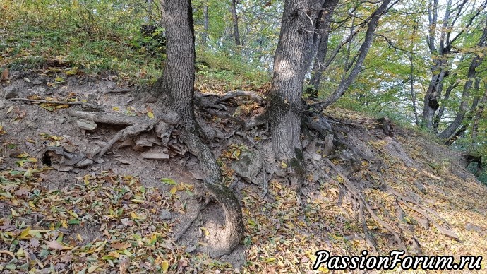Прогулки на природе. часть 2 - гора Железная.