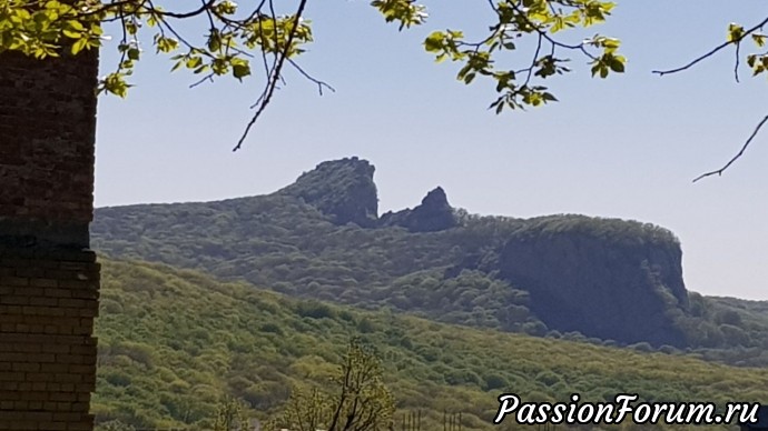 Прогулки по КМВ - горы, цветы, красота........