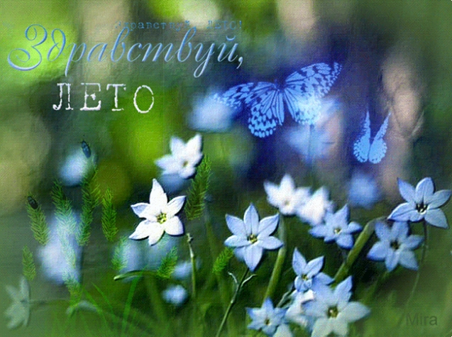 Вот и лето пришло
