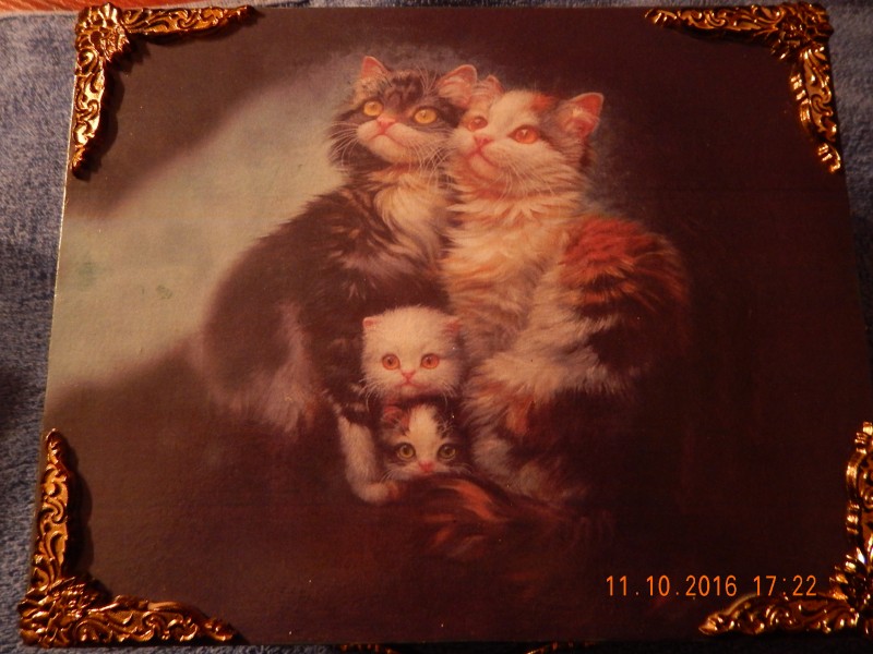 Шкатулочка &quot;Котики&quot;