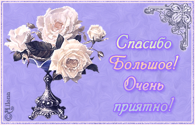 Наша Первосентябрьская Фея Оксана угадала ВСЕ!!!