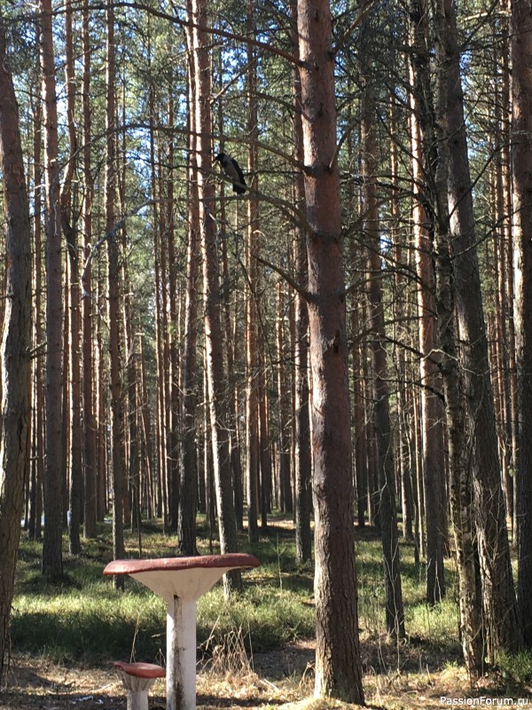 День рождения и Восток 6