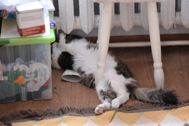 Коты спят где захотят и как захотят..