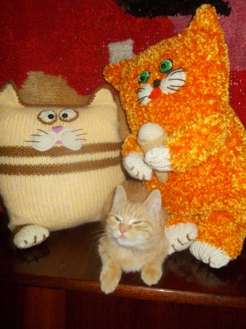 Подушки-коты и Коты-не-подушки