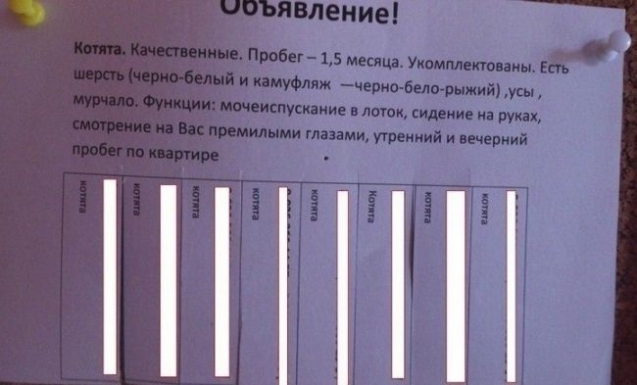 Неделя должна начинаться с позитива!