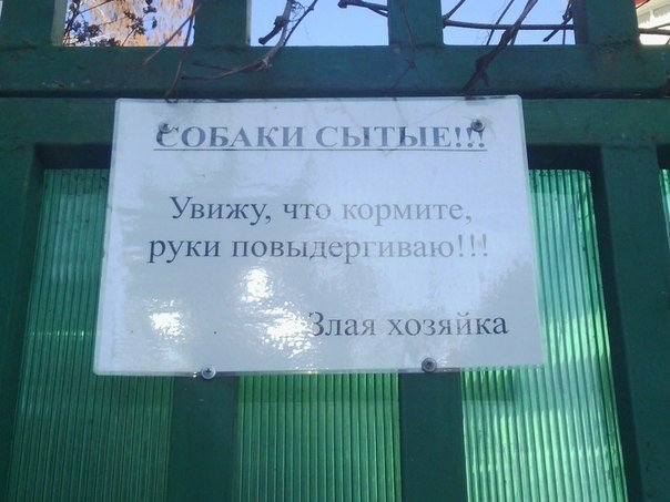 Неделя должна начинаться с позитива!