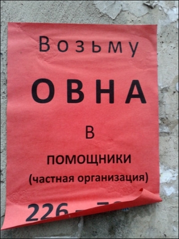Неделя должна начинаться с позитива!