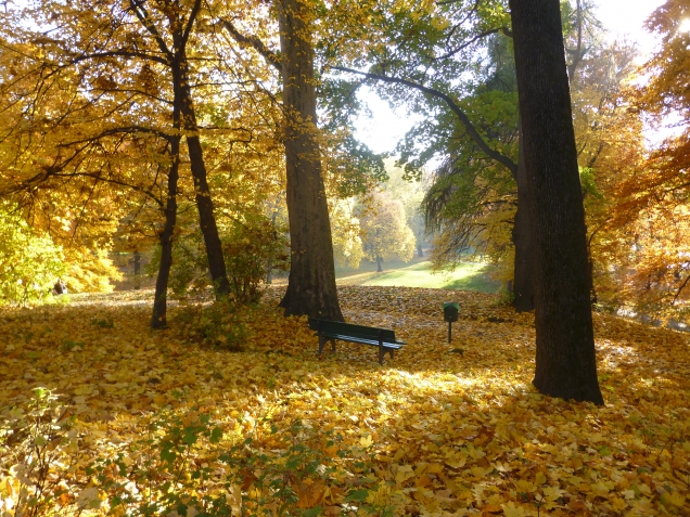 В поисках вдохновения.