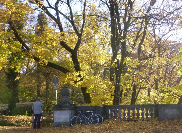 В поисках вдохновения.