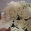 natash1982 () natash1982 ()