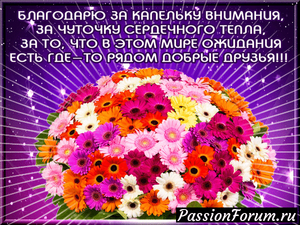 Моим виртуальным подругам!!
