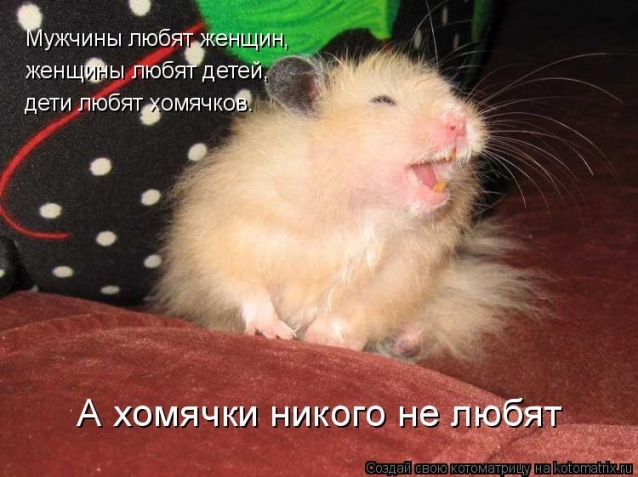 Милым хомячихам
