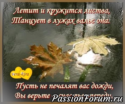 Палантин "Зачарованные сети"