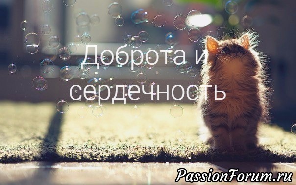 Что такое &quot;СЕРДЕЧНОСТЬ&quot;
