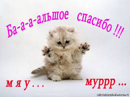 Марафон подарков из Курска!!!!