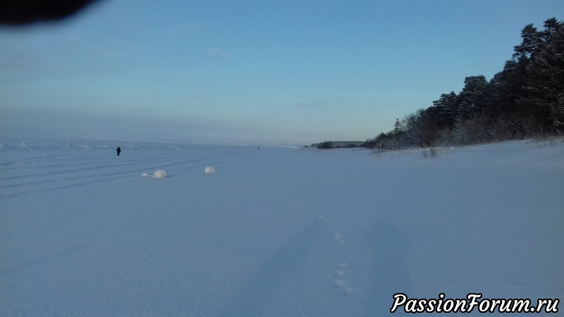 Снег...Снег...и на моей работе и в природе...