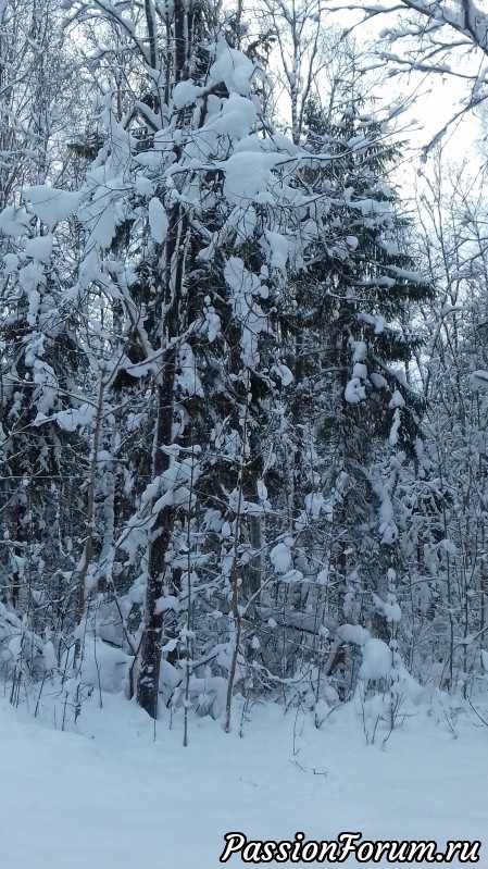 Снег...Снег...и на моей работе и в природе...