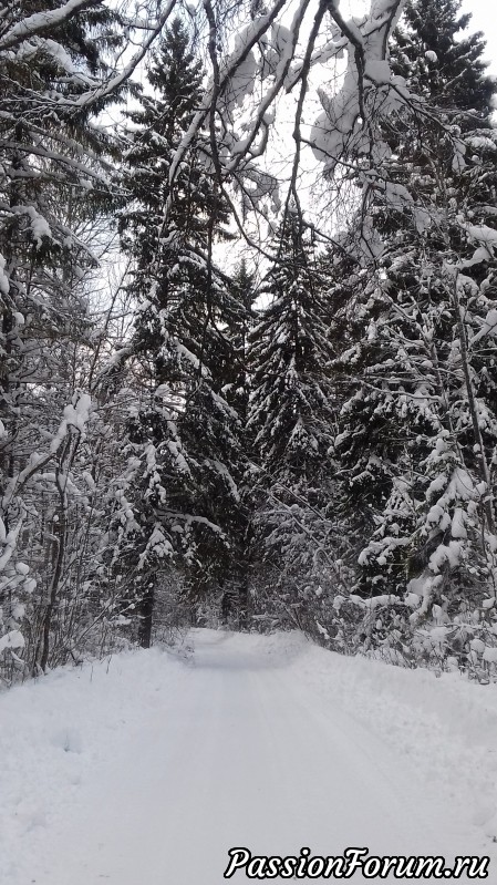 Снег...Снег...и на моей работе и в природе...